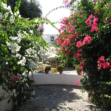 Hotel Punta Rossa San Felice Circeo Exterior photo