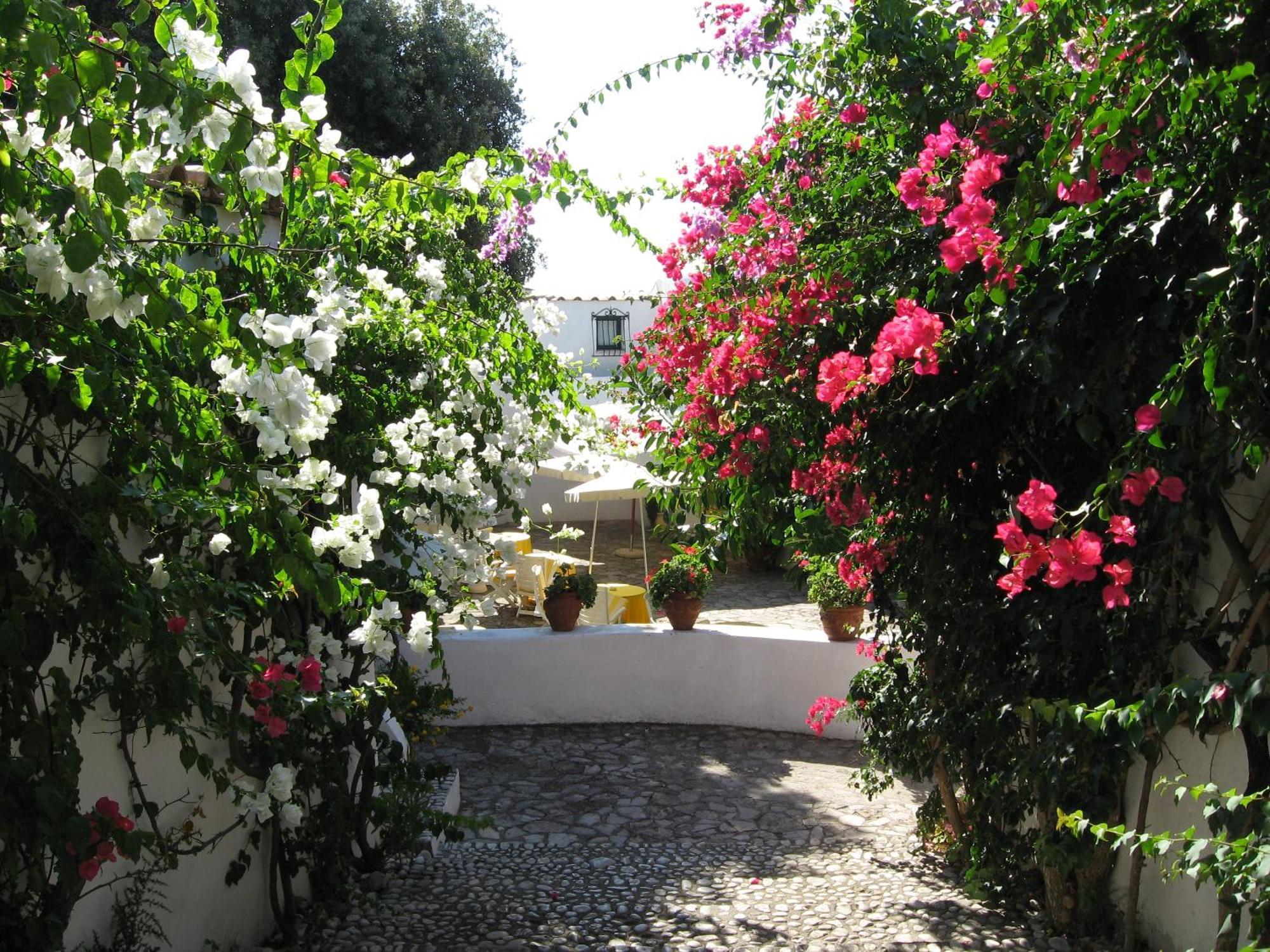 Hotel Punta Rossa San Felice Circeo Exterior photo